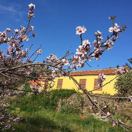 Haciendas Del Valle-Montemayor Las Toscas Luaran gambar